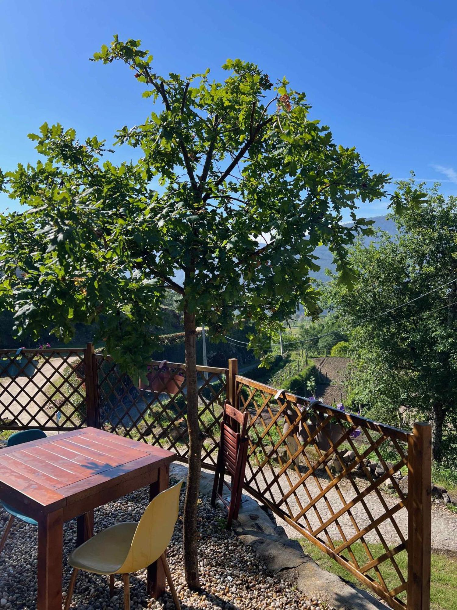 Quinta Da Baldieira Mondim de Basto Exterior foto